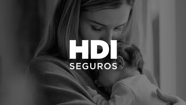 HDI Seguros
